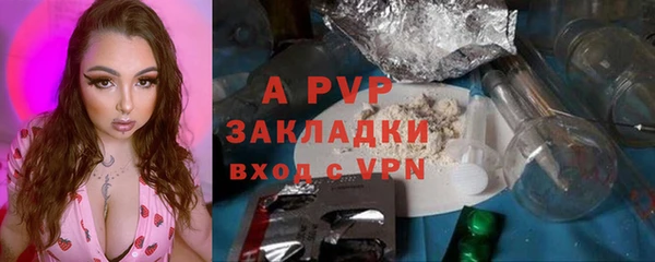 гидра Алексин