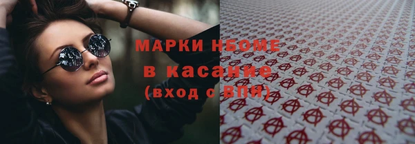 гидра Алексин