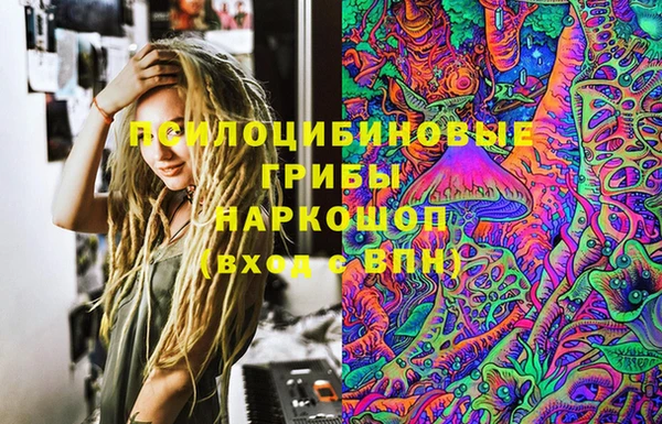 гидра Алексин