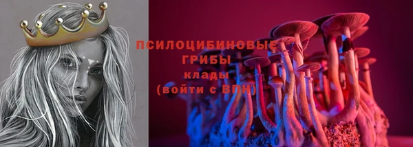 гидра Алексин