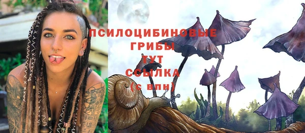 гидра Алексин